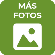 Botón